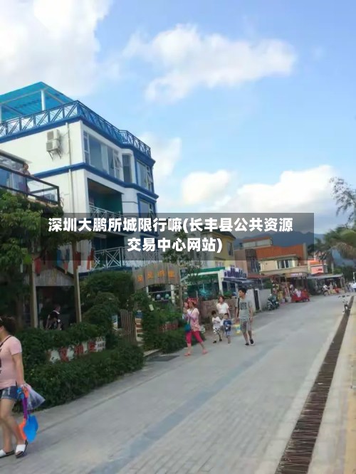 深圳大鹏所城限行嘛(长丰县公共资源交易中心网站)-第2张图片