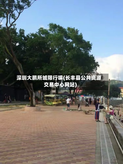 深圳大鹏所城限行嘛(长丰县公共资源交易中心网站)-第3张图片