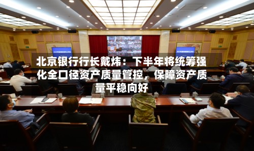 北京银行行长戴炜：下半年将统筹强化全口径资产质量管控	，保障资产质量平稳向好-第2张图片